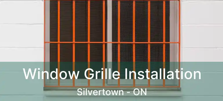  Window Grille Installation Silvertown - ON