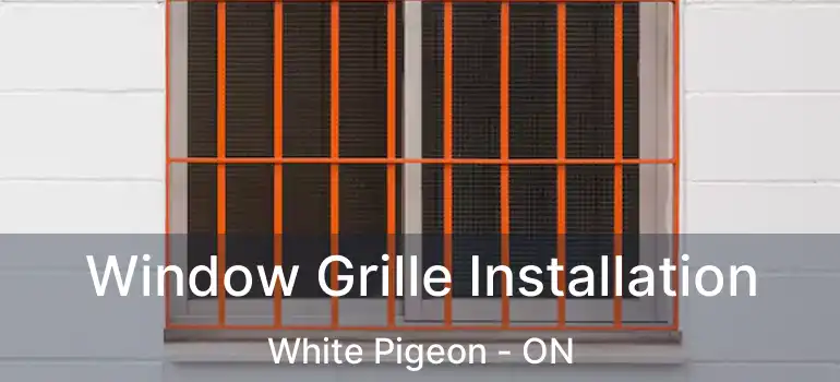  Window Grille Installation White Pigeon - ON