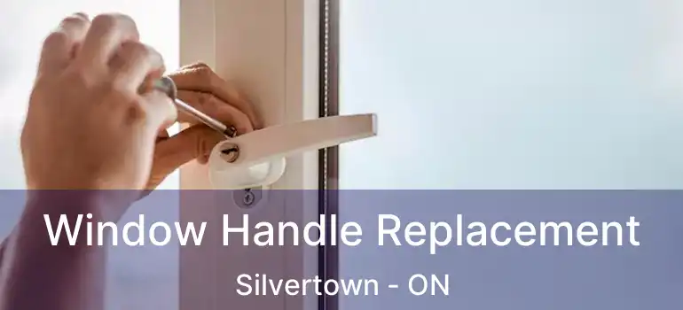  Window Handle Replacement Silvertown - ON