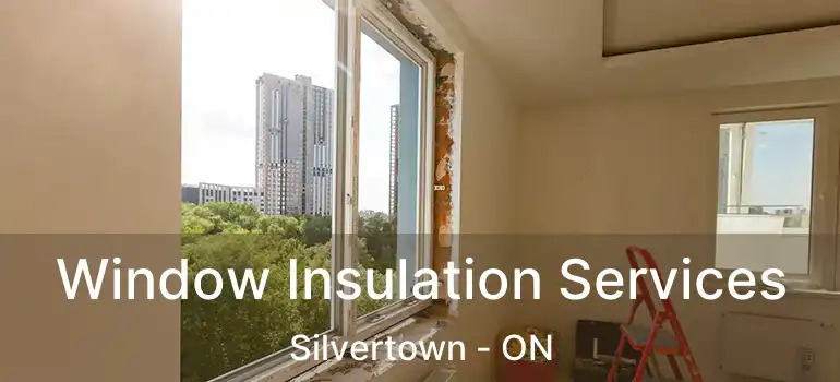  Window Insulation Services Silvertown - ON