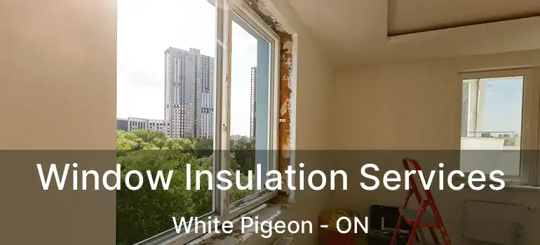  Window Insulation Services White Pigeon - ON