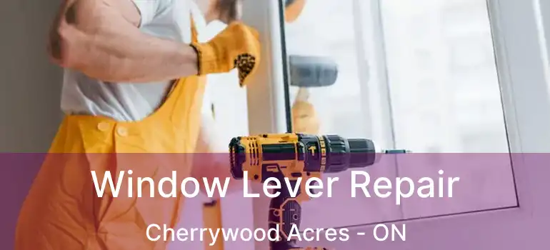  Window Lever Repair Cherrywood Acres - ON