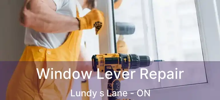  Window Lever Repair Lundy s Lane - ON