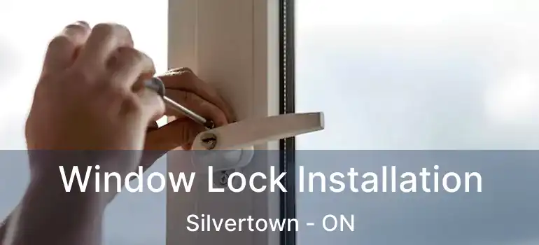  Window Lock Installation Silvertown - ON