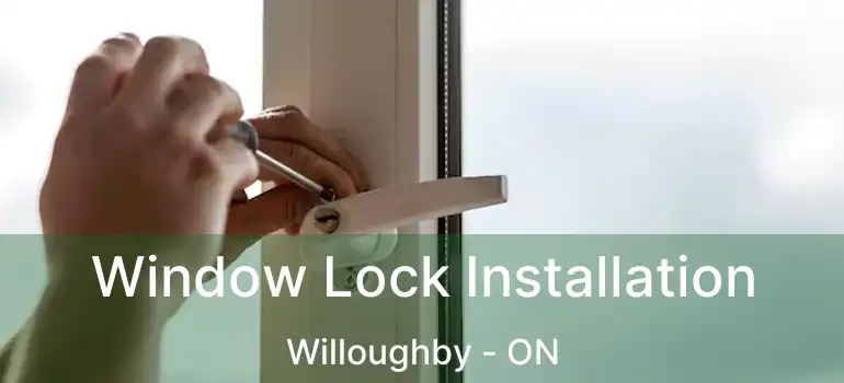  Window Lock Installation Willoughby - ON