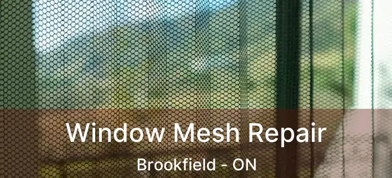  Window Mesh Repair Brookfield - ON