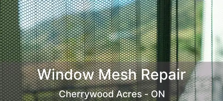  Window Mesh Repair Cherrywood Acres - ON