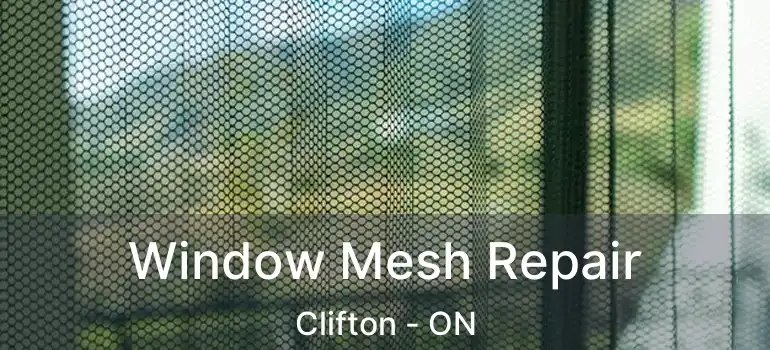  Window Mesh Repair Clifton - ON