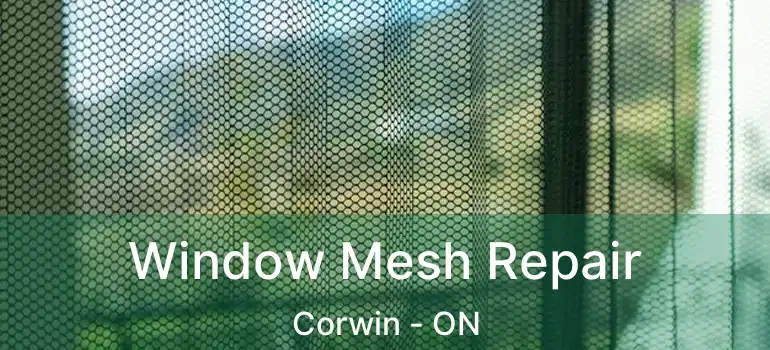  Window Mesh Repair Corwin - ON