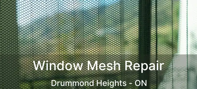  Window Mesh Repair Drummond Heights - ON