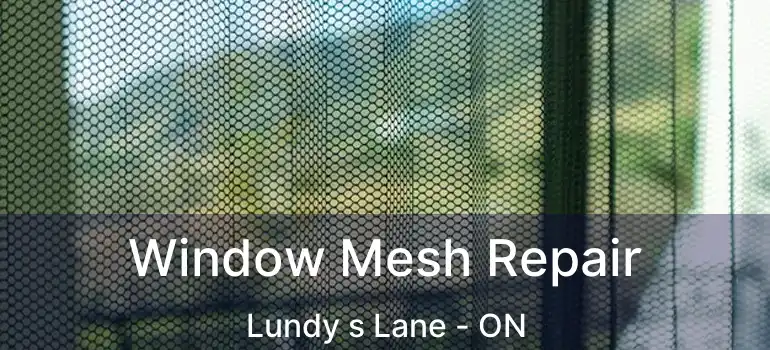  Window Mesh Repair Lundy s Lane - ON