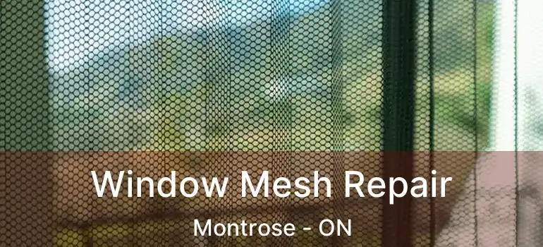  Window Mesh Repair Montrose - ON