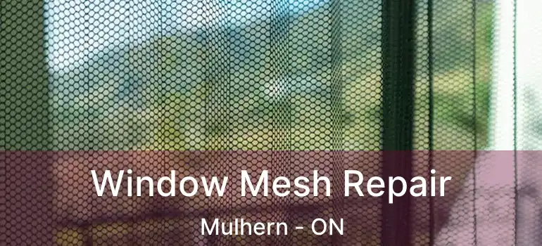  Window Mesh Repair Mulhern - ON