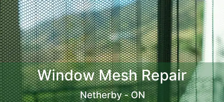  Window Mesh Repair Netherby - ON