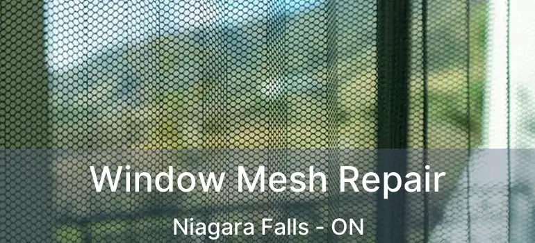  Window Mesh Repair Niagara Falls - ON