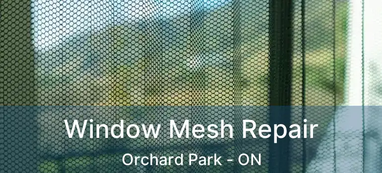  Window Mesh Repair Orchard Park - ON