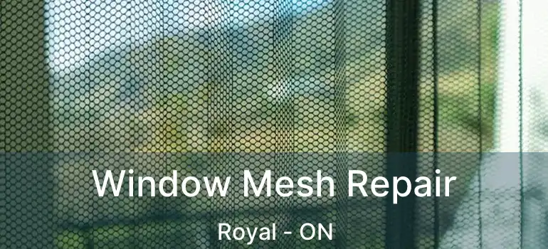  Window Mesh Repair Royal - ON