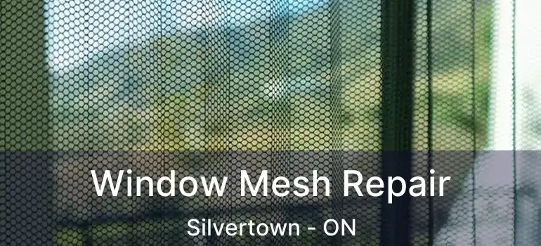  Window Mesh Repair Silvertown - ON