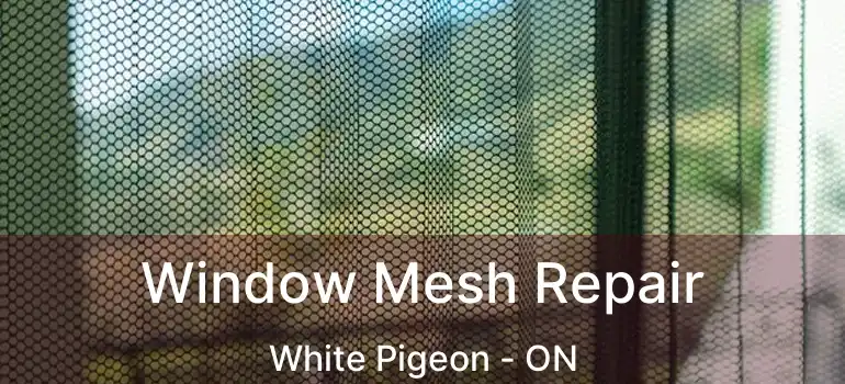  Window Mesh Repair White Pigeon - ON