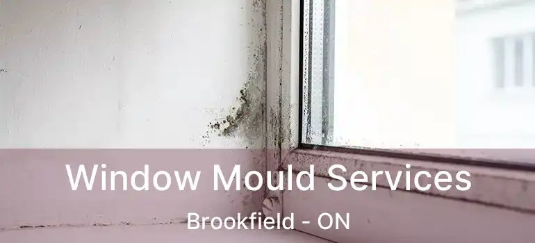  Window Mould Services Brookfield - ON