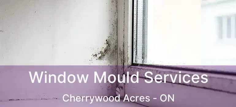  Window Mould Services Cherrywood Acres - ON