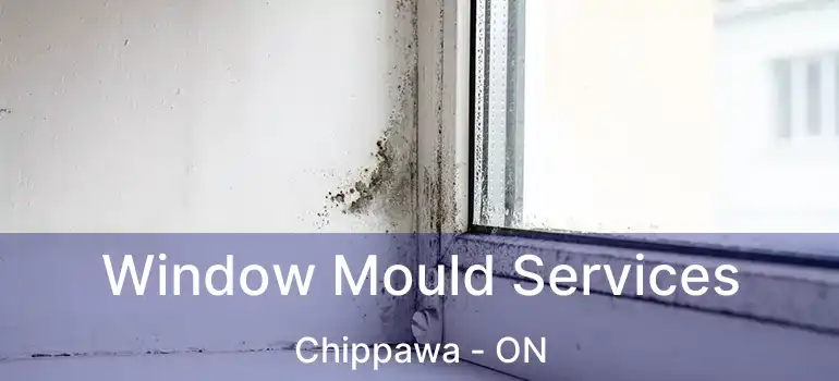  Window Mould Services Chippawa - ON