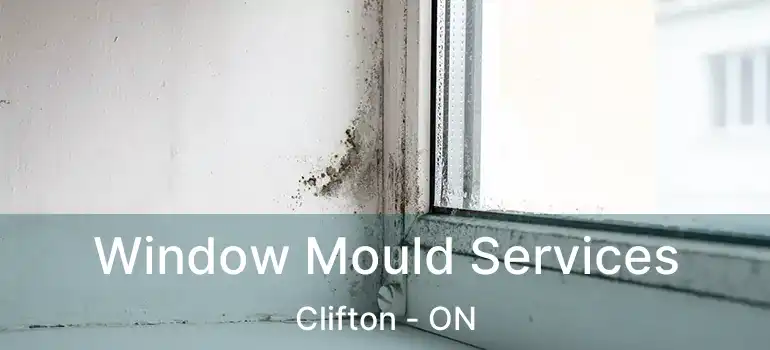  Window Mould Services Clifton - ON