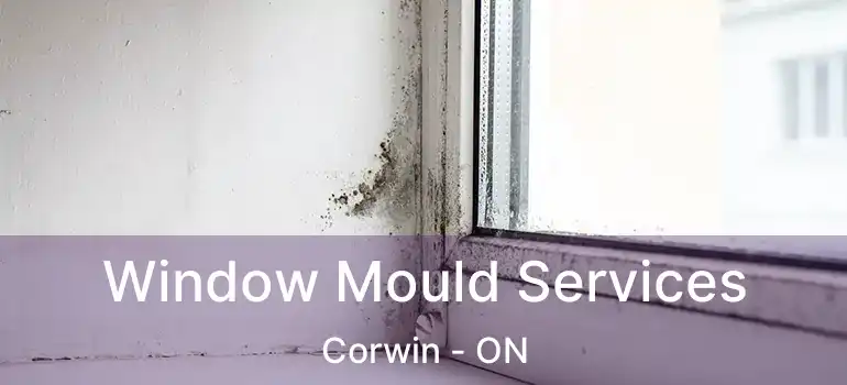  Window Mould Services Corwin - ON