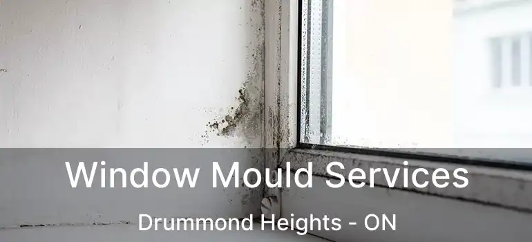  Window Mould Services Drummond Heights - ON