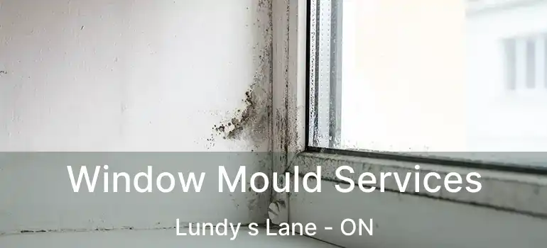  Window Mould Services Lundy s Lane - ON