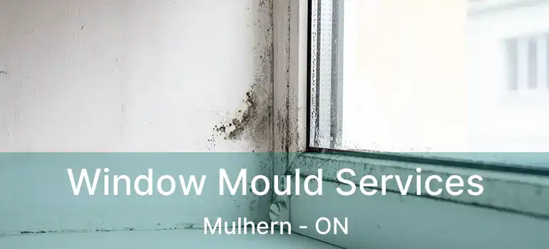  Window Mould Services Mulhern - ON