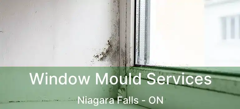  Window Mould Services Niagara Falls - ON