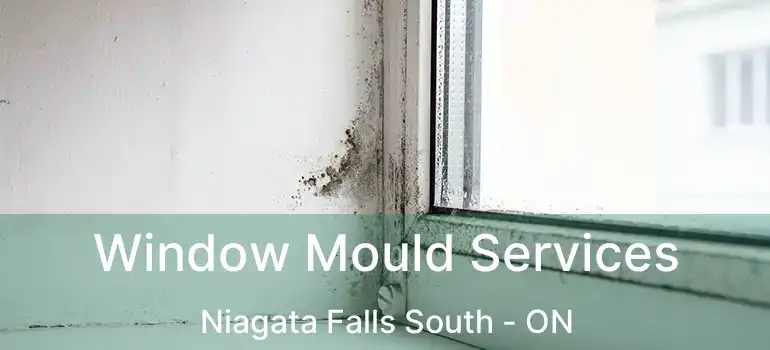  Window Mould Services Niagata Falls South - ON