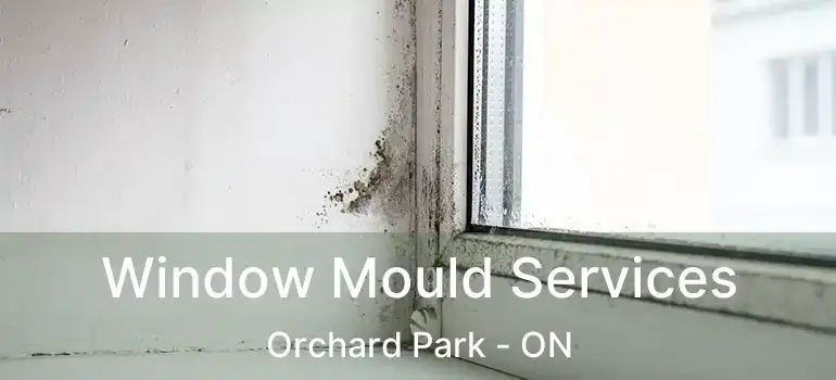  Window Mould Services Orchard Park - ON