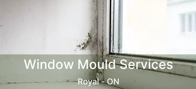  Window Mould Services Royal - ON