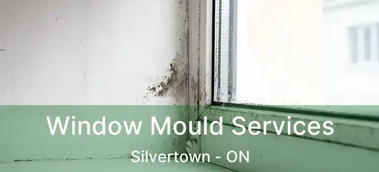  Window Mould Services Silvertown - ON