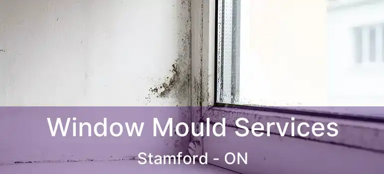  Window Mould Services Stamford - ON