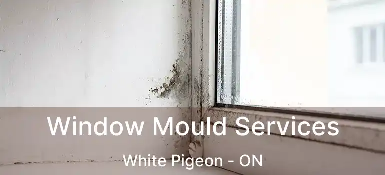  Window Mould Services White Pigeon - ON