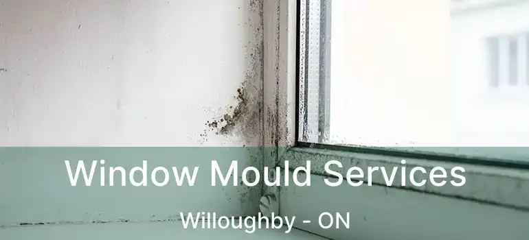  Window Mould Services Willoughby - ON