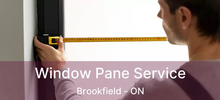  Window Pane Service Brookfield - ON