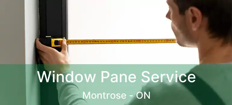  Window Pane Service Montrose - ON