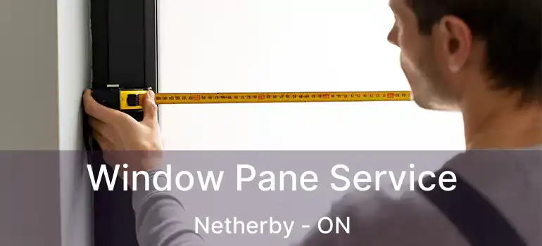  Window Pane Service Netherby - ON