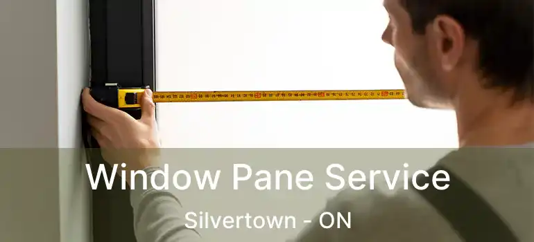  Window Pane Service Silvertown - ON