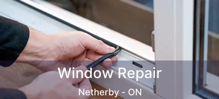  Window Repair Netherby - ON