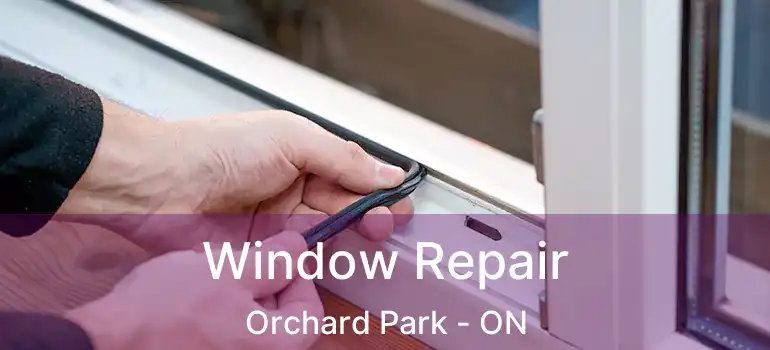  Window Repair Orchard Park - ON