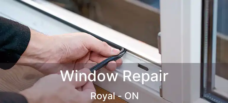  Window Repair Royal - ON