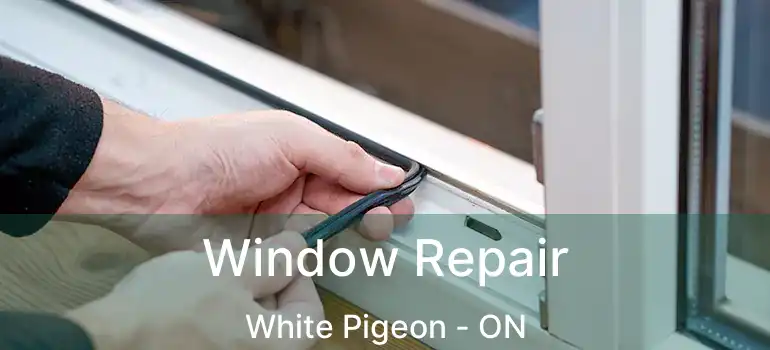  Window Repair White Pigeon - ON