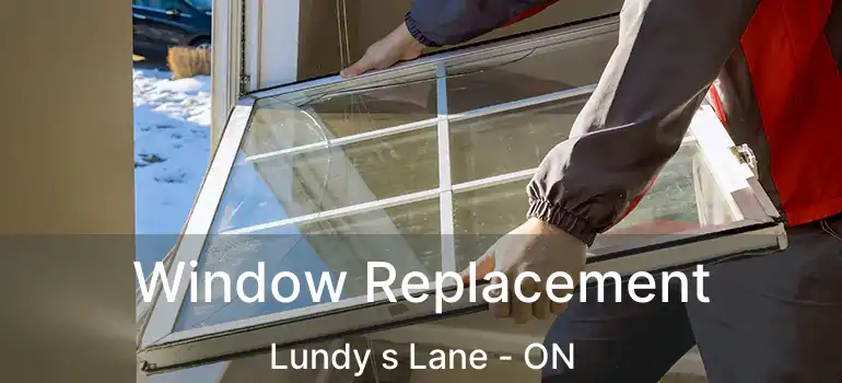  Window Replacement Lundy s Lane - ON