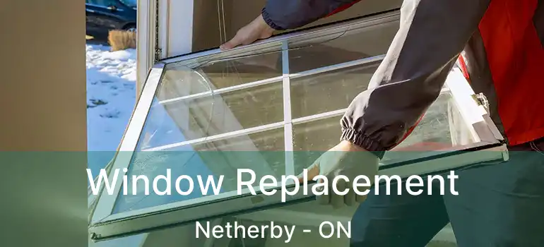  Window Replacement Netherby - ON