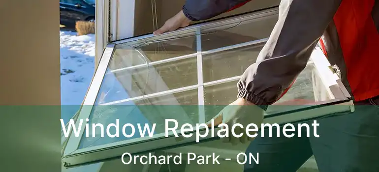  Window Replacement Orchard Park - ON